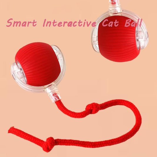 PawSpin™ - Interactive Pet Ball Toy