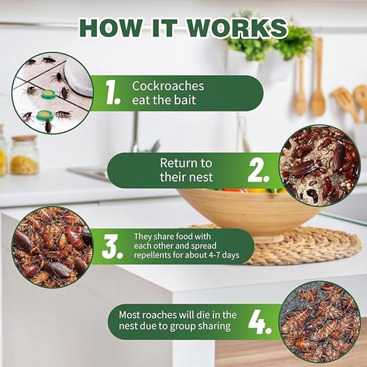 NestWipe™ Safe & Powerful Cockroach Killer