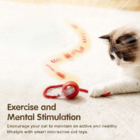 PawSpin™ - Interactive Pet Ball Toy