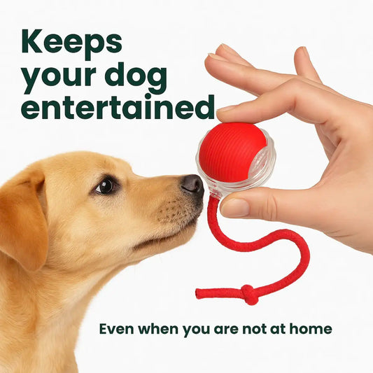 PawSpin™ - Interactive Pet Ball Toy