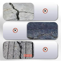 Heavy-Duty Concrete Crack Repair Adhesive  100 gm